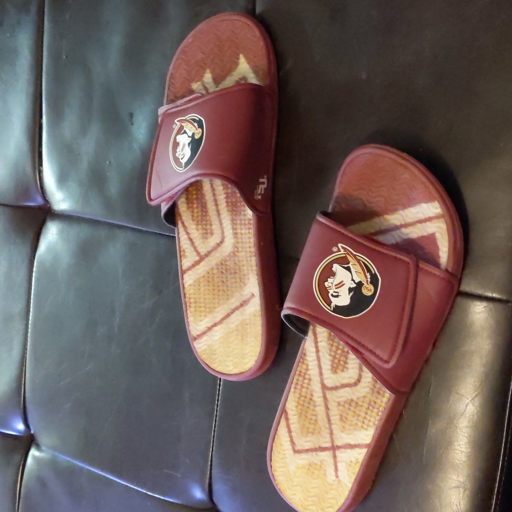 FSU Slides - Picture 2 of 4